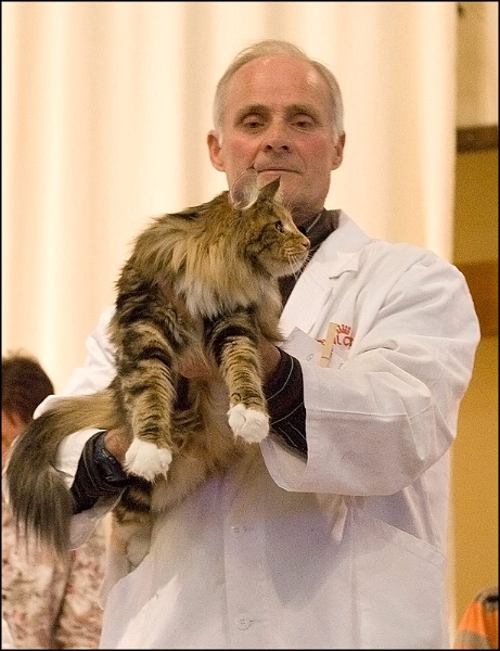 Inconnu 11.jpg - Inconnu